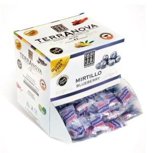 TER BOX CARAMELLE ARTIGIANALI MIRTILLO S/G KG.1 - immagine 1