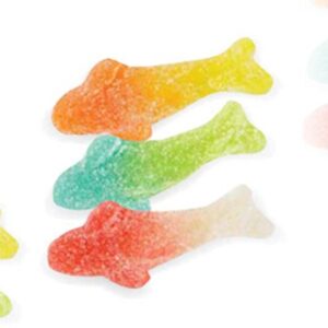 RAV SQUALI FRUTTA FRIZZ KG.1 - immagine 1
